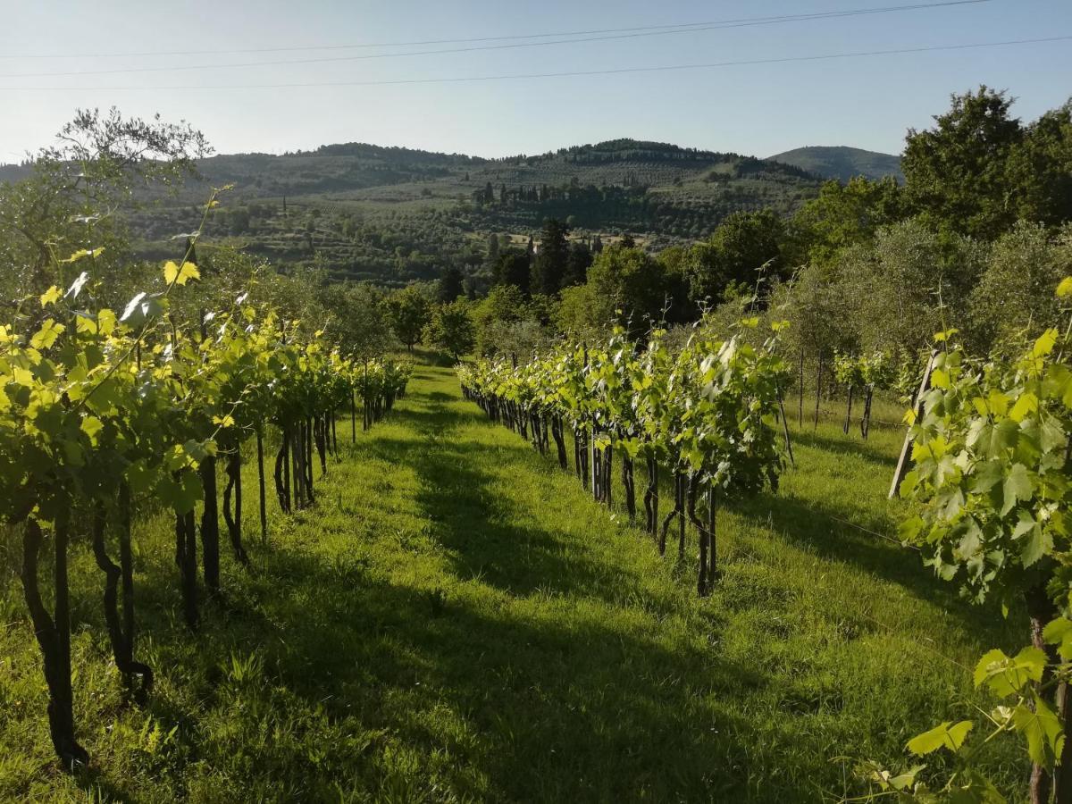 Villa Storica Di Majano Bagno a Ripoli Eksteriør bilde